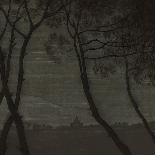 Umbrella Pines Study - Shadow Silk