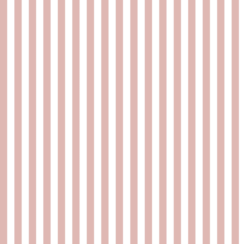 Literary Stripes ~ The Shelley in Pink Carnation