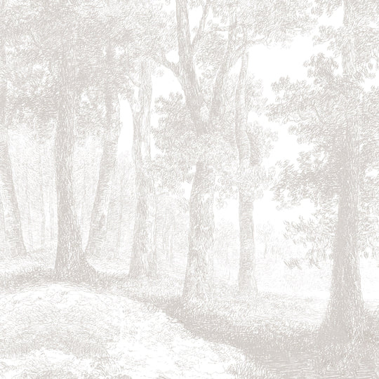 The Woods