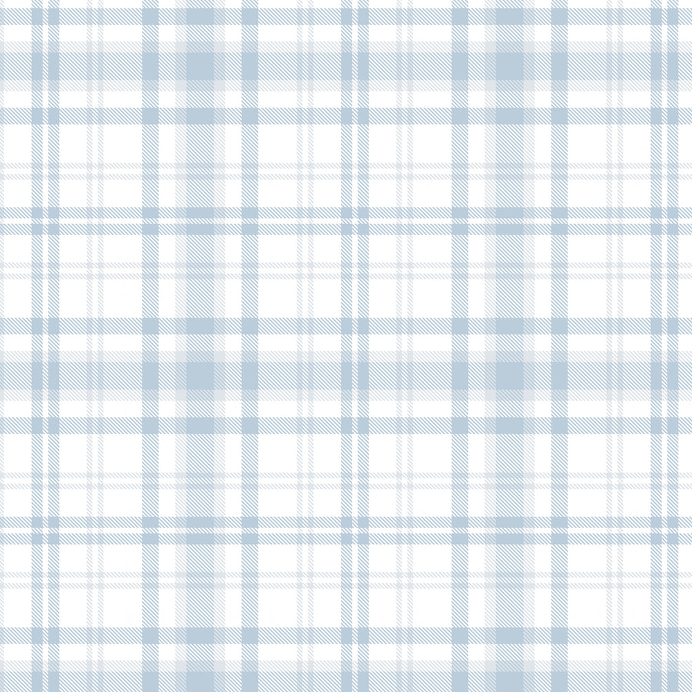 Plaid - Pale Blue