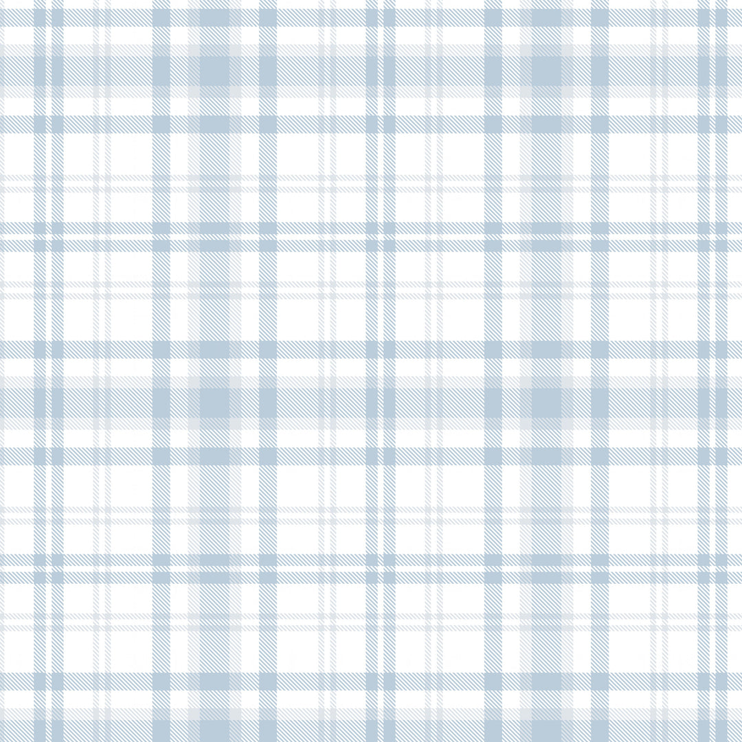 Plaid - Pale Blue