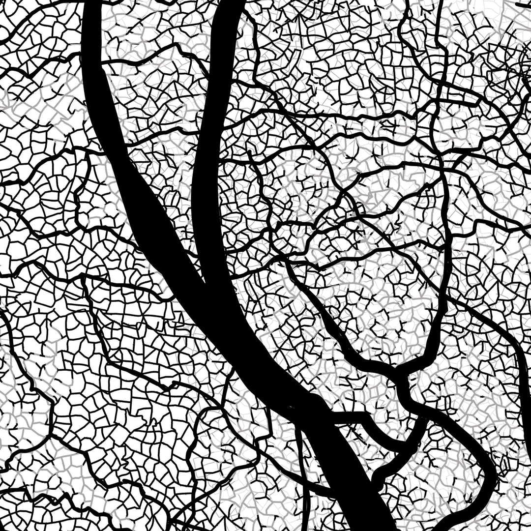 Black Oak