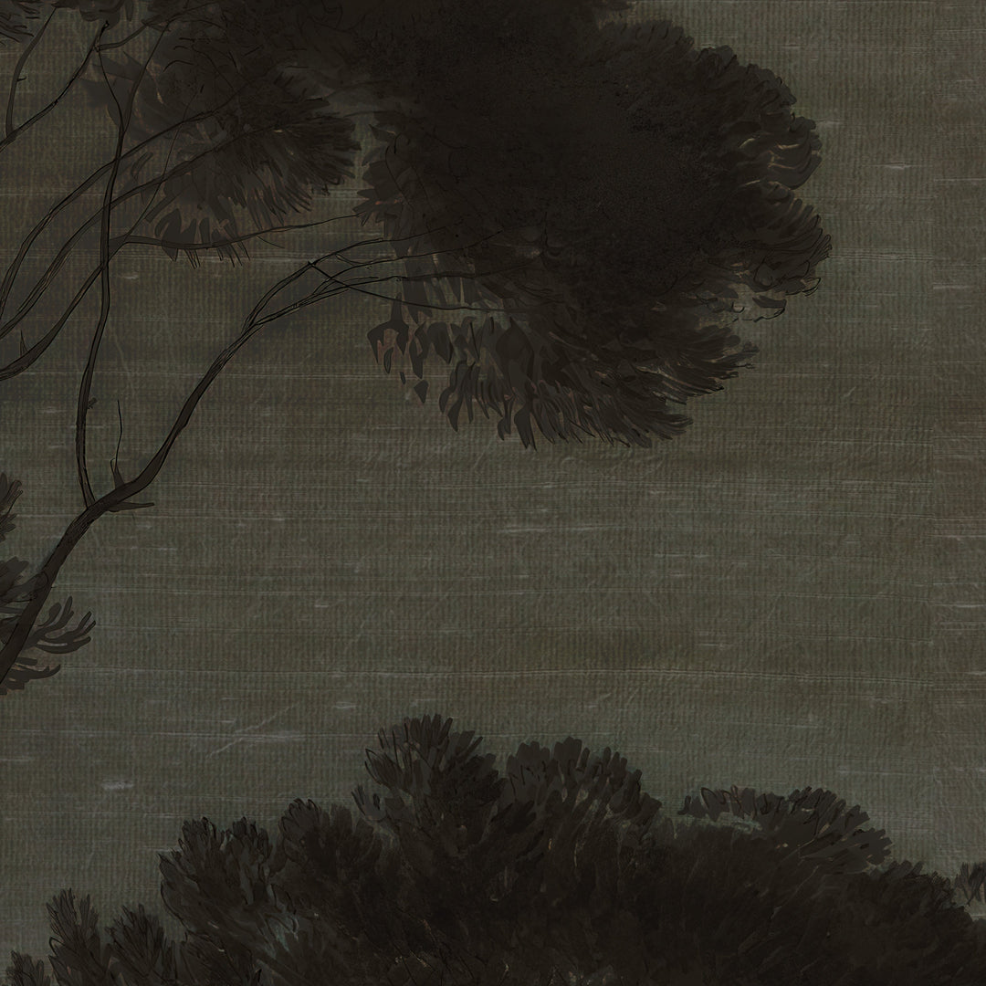 Umbrella Pines Study - Shadow Silk