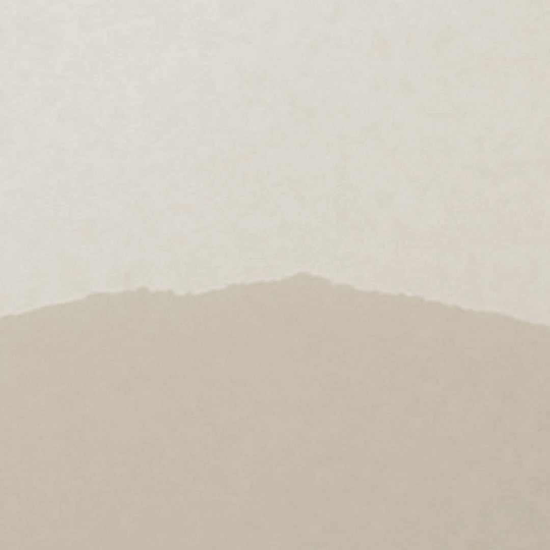 Misty Mountains Desert Brown