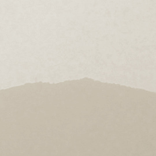 Misty Mountains Desert Brown