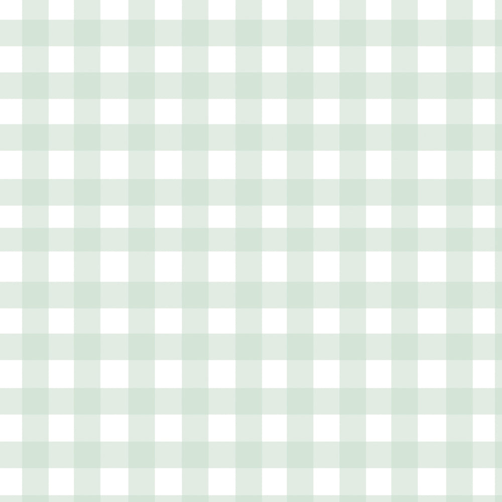 Gingham - Pale Green