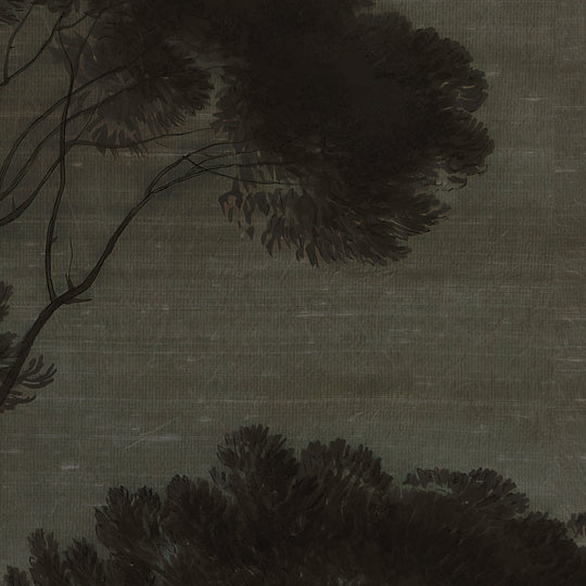 Umbrella Pines Study - Shadow Silk