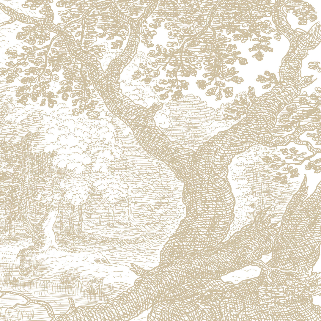 Babbling Brook - Honey