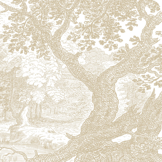 Babbling Brook - Honey