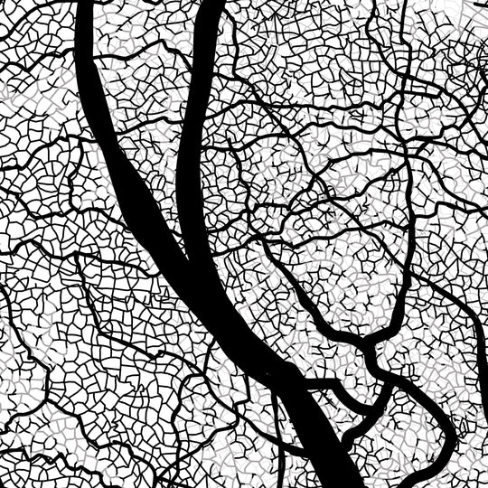 Black Oak