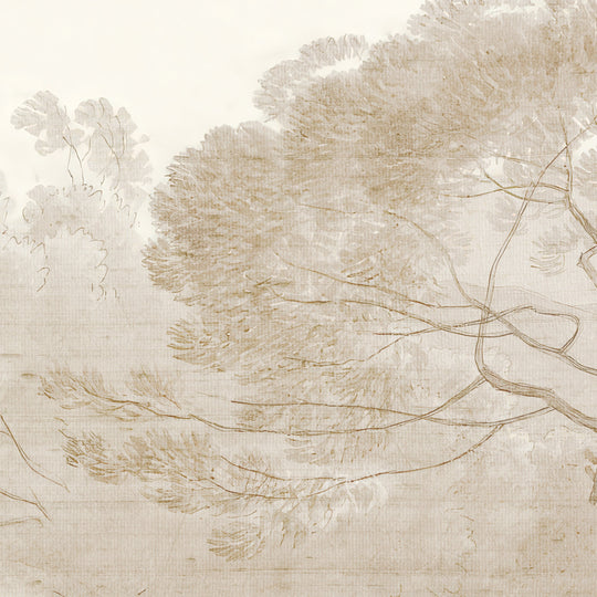 Umbrella Pines Study - Dusty Silk