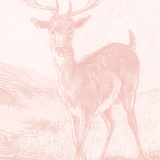 Beech Tree Springs Series II - Blush