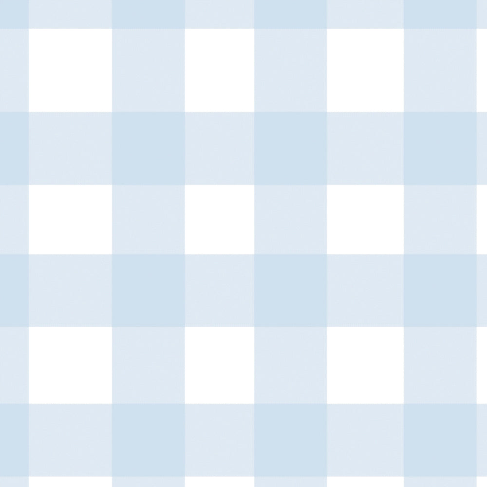 Gingham - Powder Blue