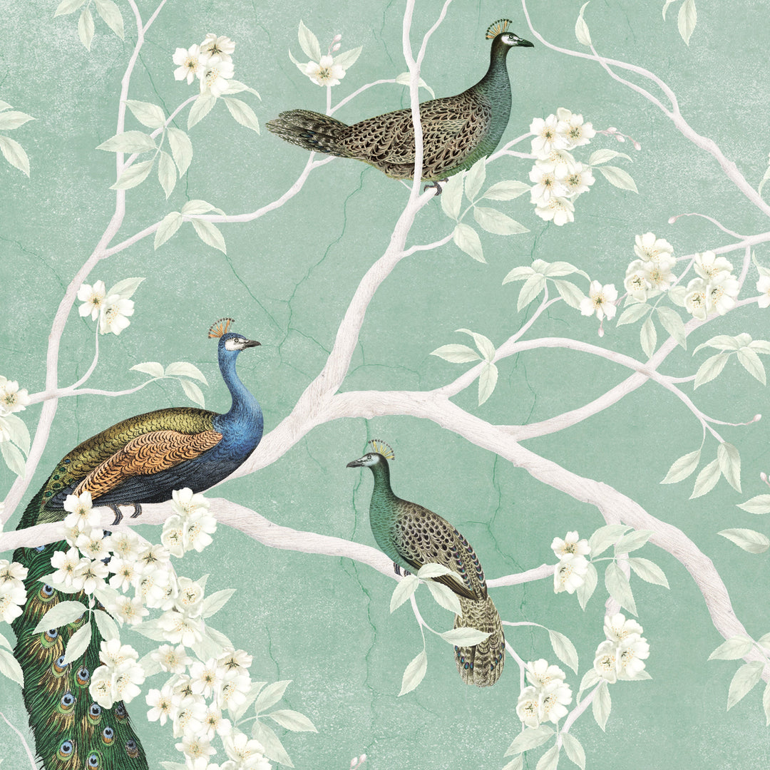 A Pride of Peacocks - Sage