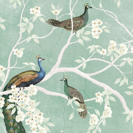 A Pride of Peacocks - Sage