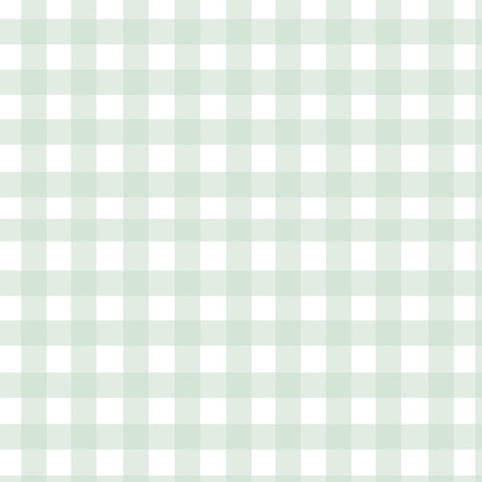 Gingham - Pale Green