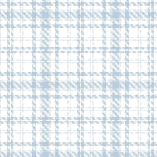 Plaid - Pale Blue