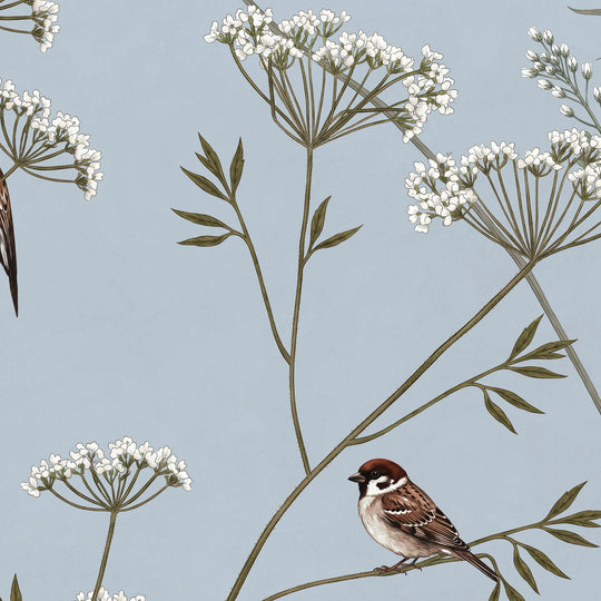 Whispering Thistle on Powder Blue