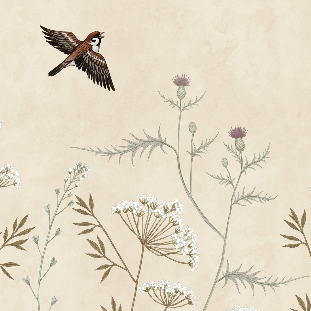 Whispering Thistle on Champagne