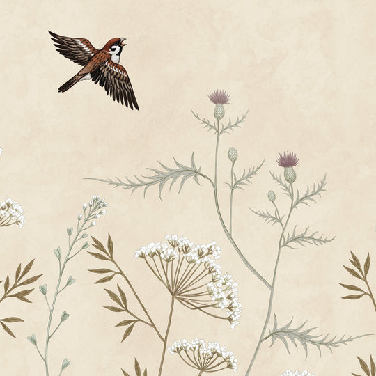 Whispering Thistle on Champagne
