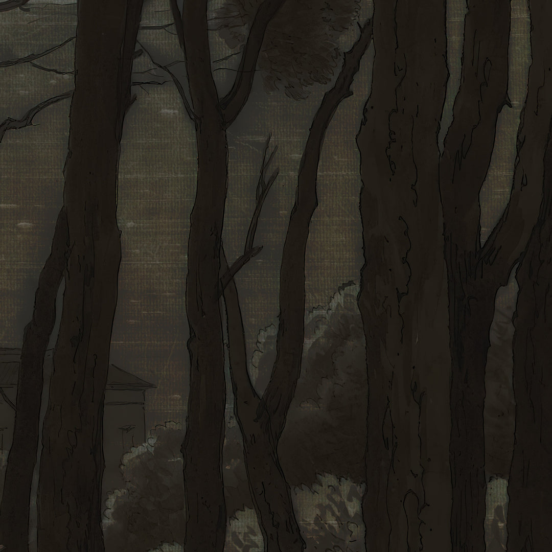 Umbrella Pines Study - Shadow Silk