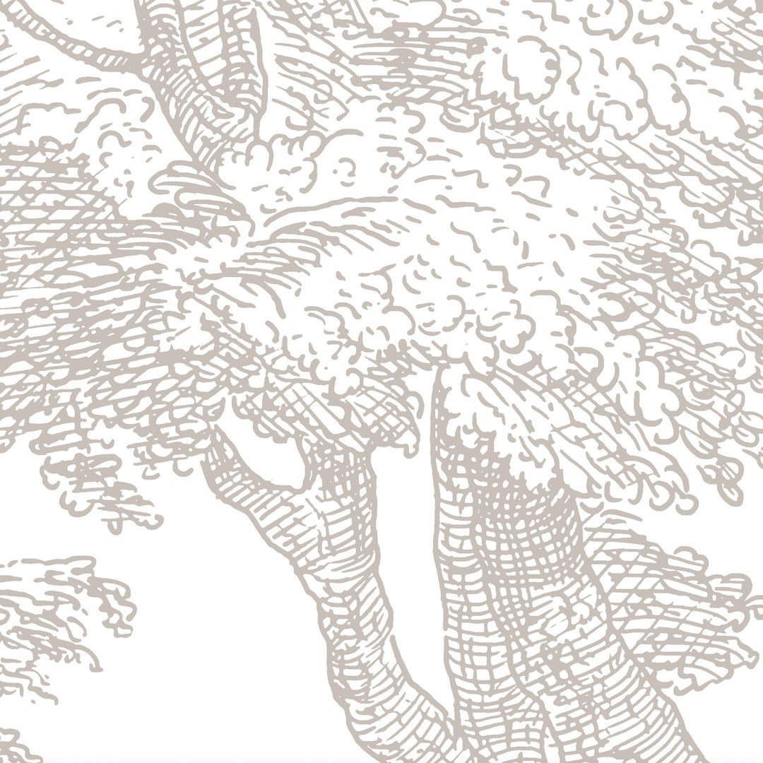 Babbling Brook - Walnut Brown