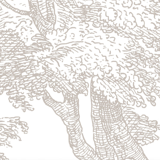 Babbling Brook - Walnut Brown