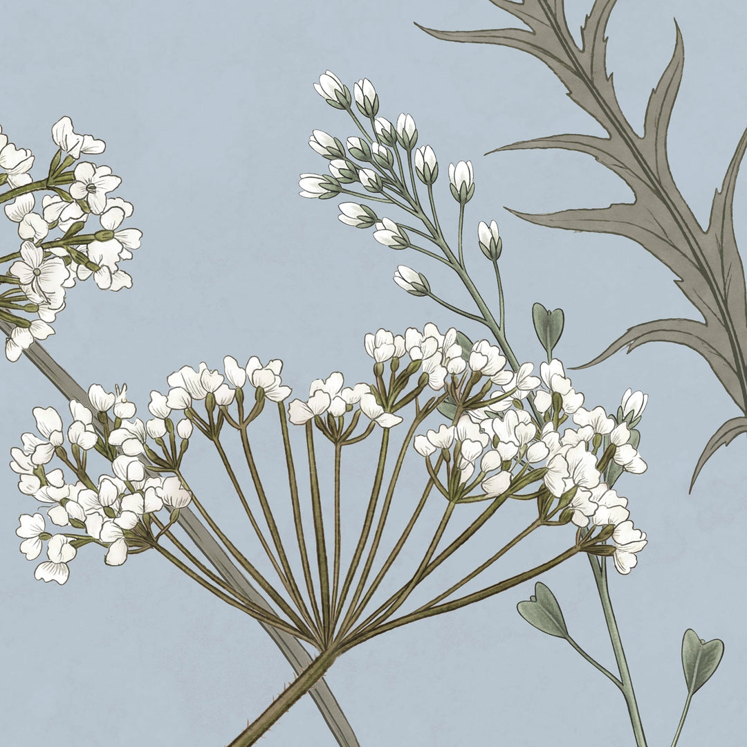 Whispering Thistle on Powder Blue