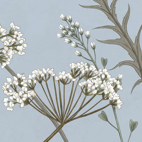 Whispering Thistle on Powder Blue