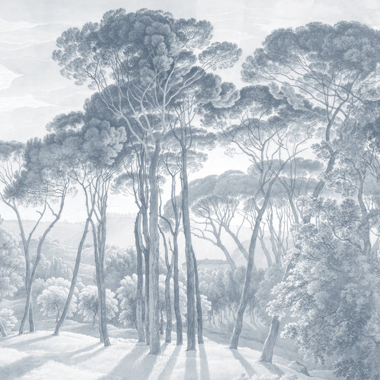 Umbrella Pines Study - Slate