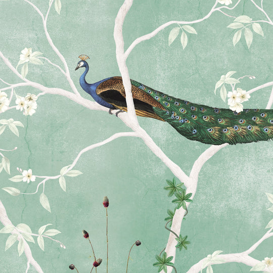 A Pride of Peacocks - Sage