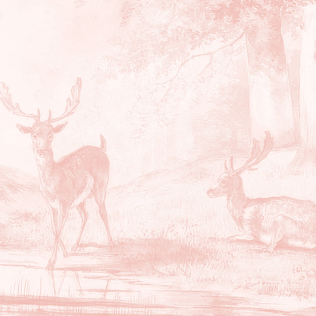 Beech Tree Springs Series II - Blush