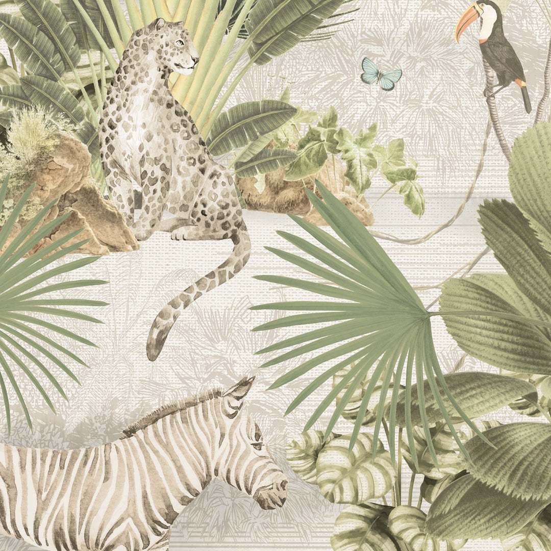 Safari Native