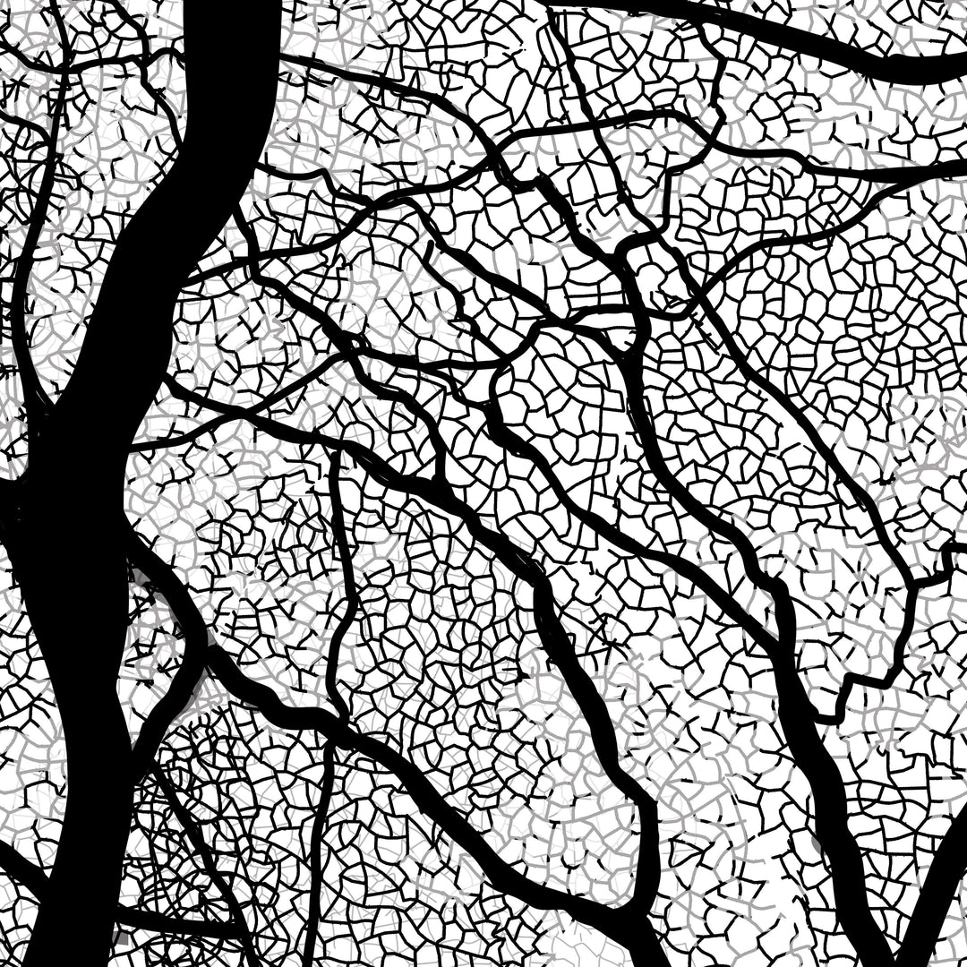 Black Oak