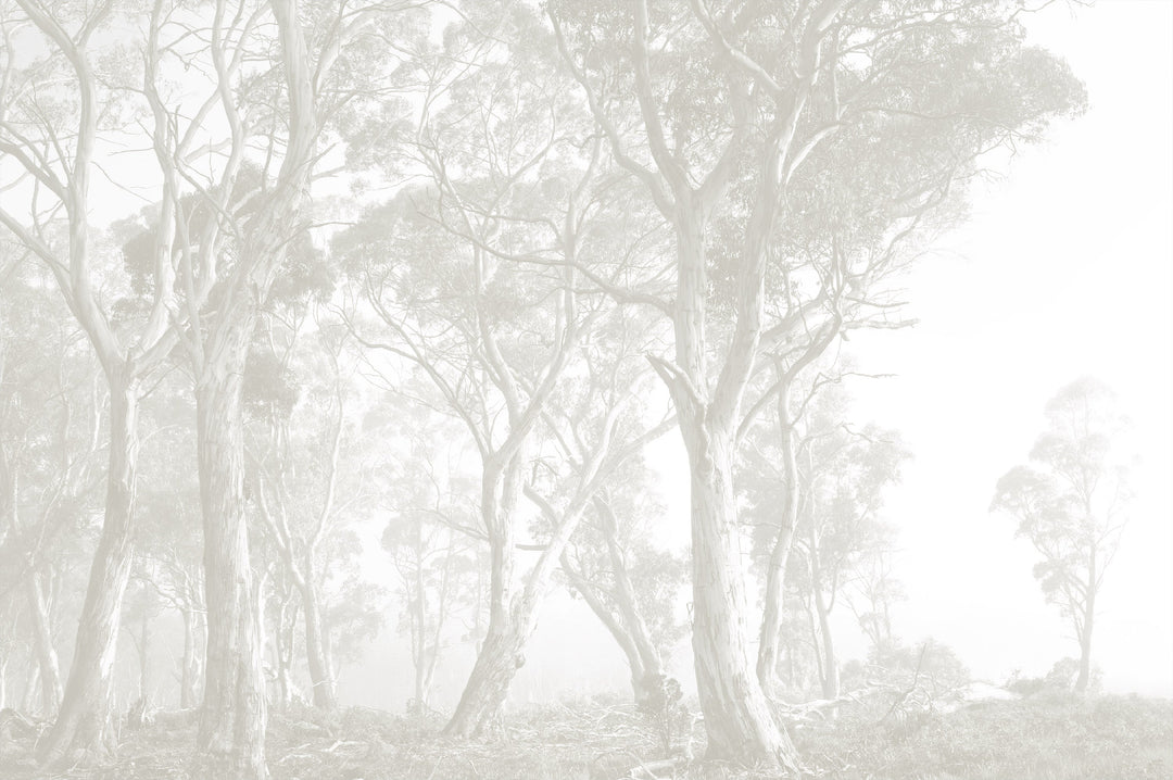 Bushland Taupe