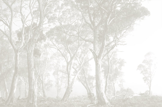 Bushland Taupe