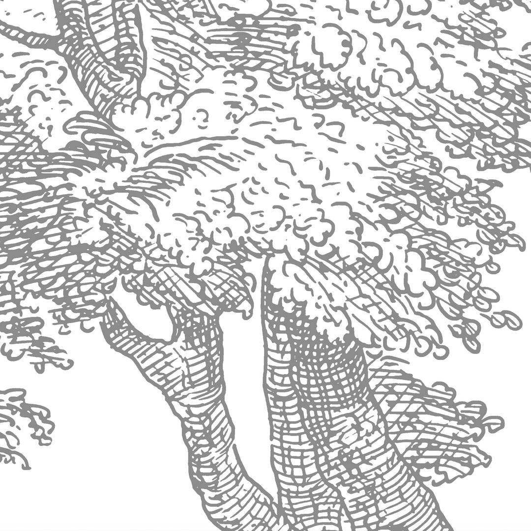 Babbling Brook - Dark Ash