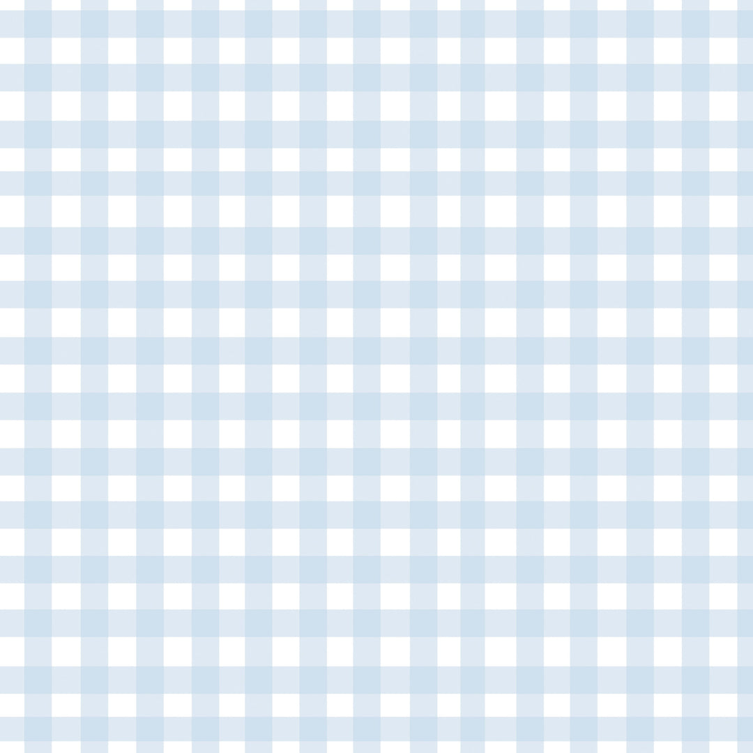 Gingham - Powder Blue