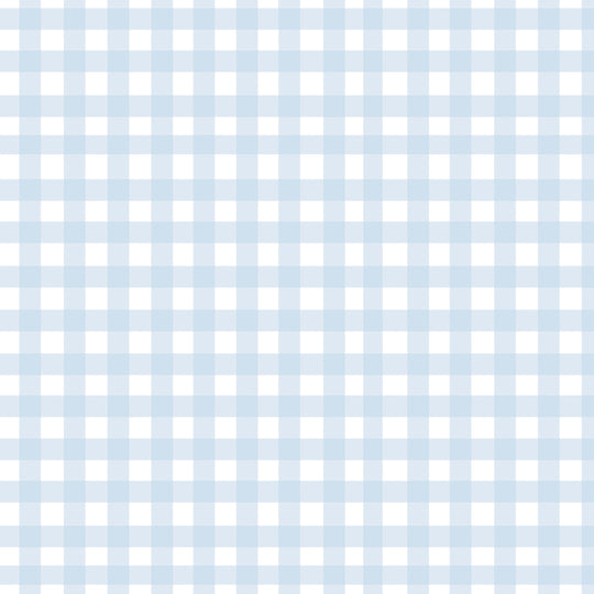 Gingham - Powder Blue