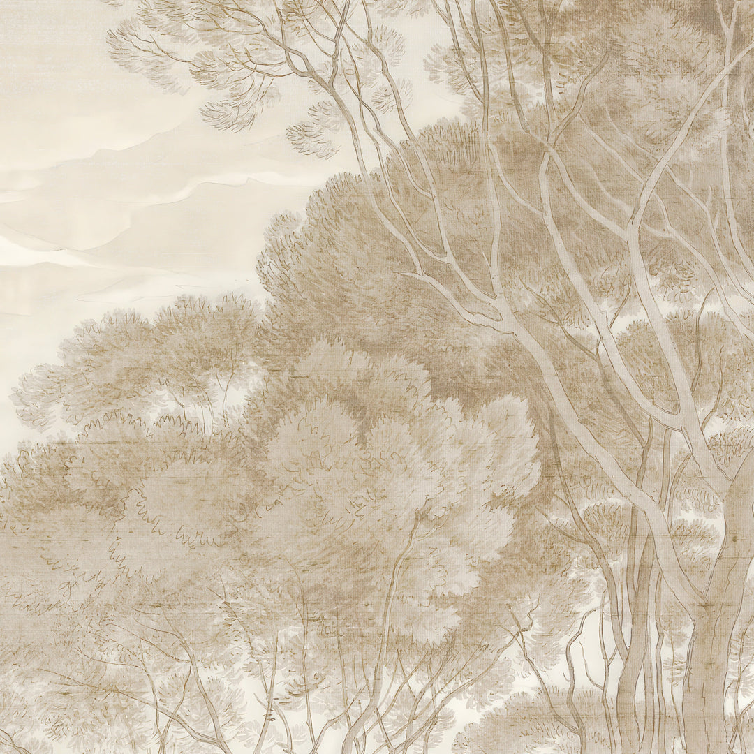 Umbrella Pines Study - Dusty Silk