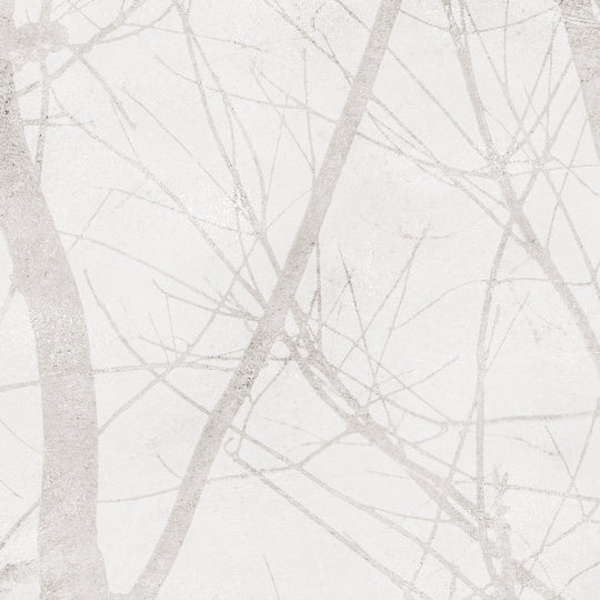 Urban Wilderness