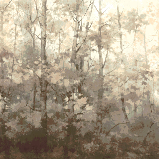 Basswood Forest