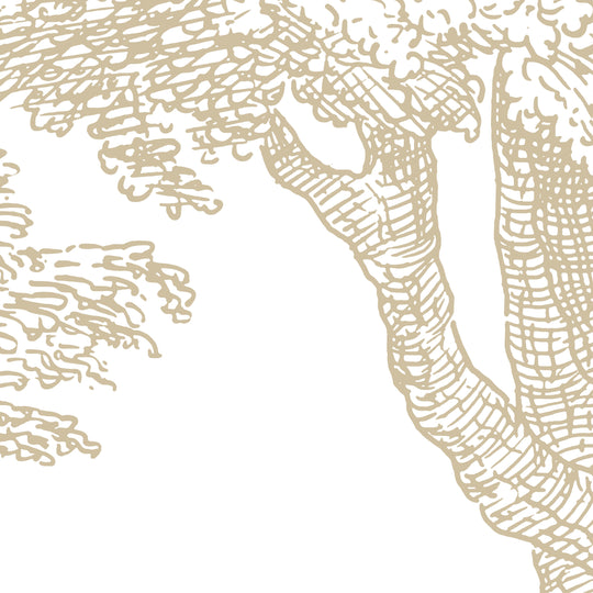 Babbling Brook - Honey