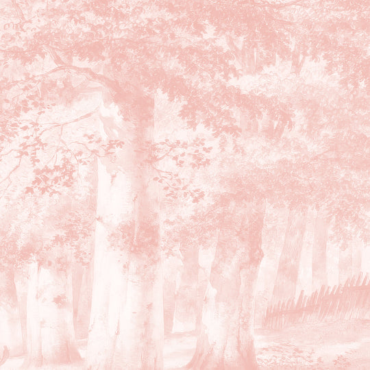 Beech Tree Springs Series II - Blush