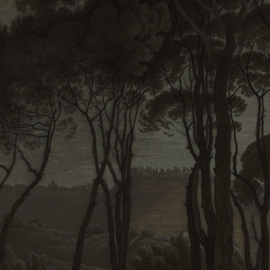 Umbrella Pines Study - Shadow Silk