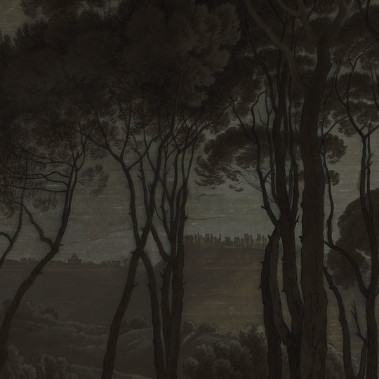 Umbrella Pines Study - Shadow Silk