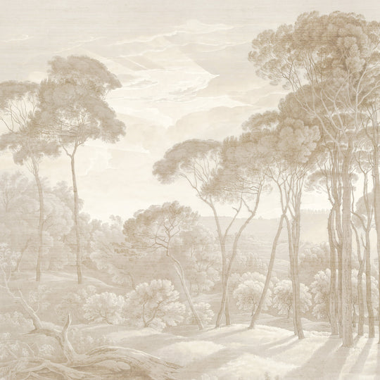 Umbrella Pines Study - Dusty Silk