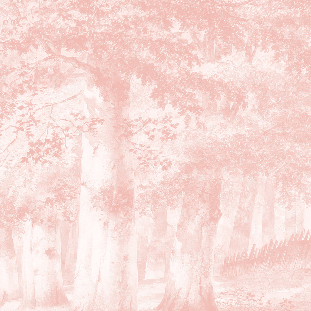 Beech Tree Springs Series II - Blush