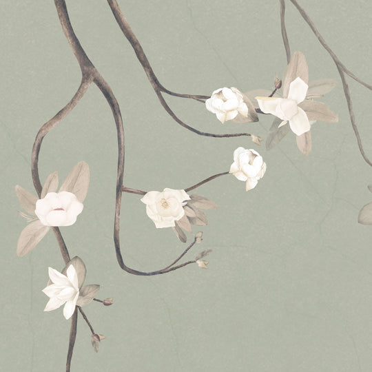 Magnolias on Antique Sage