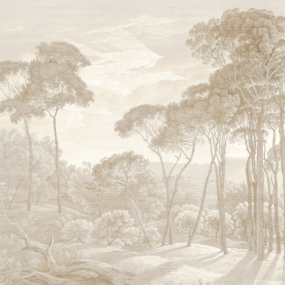 Umbrella Pines Study - Dusty Silk